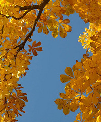 �����Ӱ������Ƶ������������仯�ϴ�ע���ˣ���