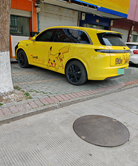 ���������ġ�ԭɫƤ����