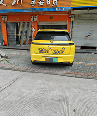 ���������ġ�ԭɫƤ����