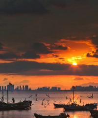 һͨ���������Լ�Ȧ�������ܺ��컨���Լ��ߣ�˭����ס��