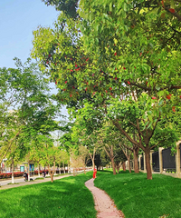 ����ʱ�䣬·��Ϊ��������13�����ڴ���԰��