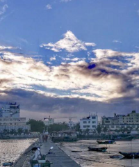 һͨ���������Լ�Ȧ�������ܺ��컨���Լ��ߣ�˭����ס��