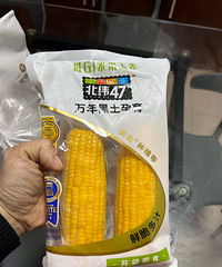 ���˹��ˣ�Ϊʲô���б�����ͱ���͵��ֳɵĻ���