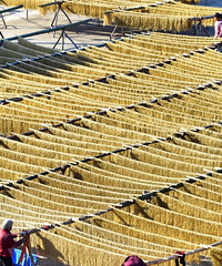 [����]��һ��ζ����������ɹ��