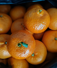 1.5һ��ı������6���ɳ�ǽۣ��ĸ������Լ۱�