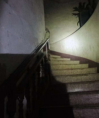 ̨��һ���ӱ�����ʮһ�գ�