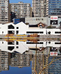 ɽˮ���Ž��������˽�Ӱ�໥�ںϣ�Զ����һ��ˮ�л�