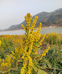 �ƻ���ط�����