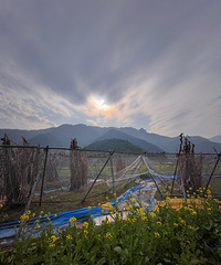 ��2023�����ܽ᡿������δӼ������꽹���������߳�һ������ġ�