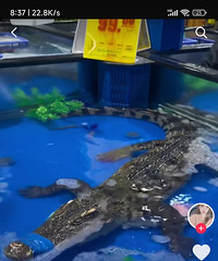 �������ҵĸ磬������������