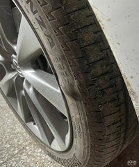 ���������ġ����˼���������İ�����̥������