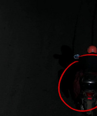 ץ������ƿ��������������š�������ؽ�����ע�������