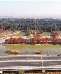 �ȸ���ʽ�µ�����쭻�20�����¡���ɽ�����ַ�����