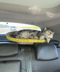 ��һ���Լݻؼҹ���������������˺��Ҹ�