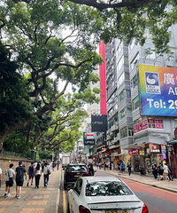 ��������Ҹ�����~99��·��δ���У�181��