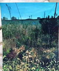 ̨�ݽ�����������壬��ɲ����йز�Ǩ�ĸɲ�������