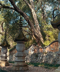 ̽�ع������ſڵ��߷�ӭ����