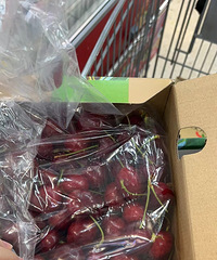 ��λ�����迪ʼ�ų���������