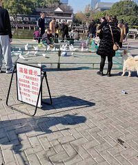 ̨��ͨ������ô����������㳡ι�������϶��ǵ�5����