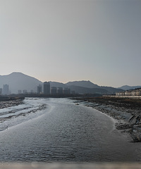 ���Ž��ۺ�����������Ҷ�����������Ҵ�Ĺ�լ