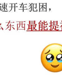 ���ٿ���������ʲô������������