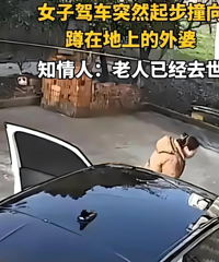 ����Ů����ײ�����Ż�δ���ᡢ�˾�Ϊ�����⳥�ַ�