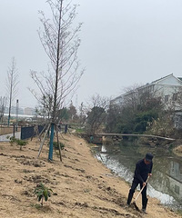 ãã�룡С���ӵ���ƺ���԰