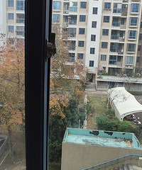 160�����ֱ̺�����