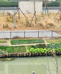 ãã�룡С���ӵ���ƺ���԰