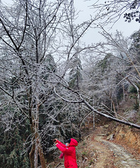 �������ĺ�ɽɭ�ֹ�԰���ĺ��⿴�������������