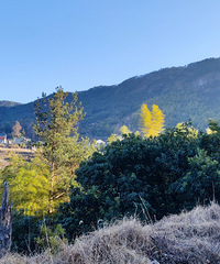 ɾӹ᮴ȫΨһĹźڵ̫ӵ