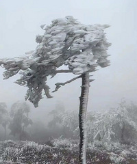 2024���һ��������ڡ������~