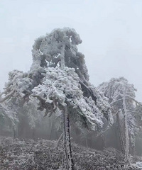 2024���һ��������ڡ������~