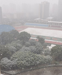 ������ʼ��ѩ�ˣ��ܴ�ѩ������