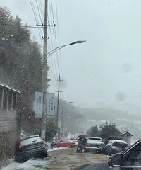 ���������ġ���ѩ�Ǻ��£�û�뵽һ������ô���¹ʡ���