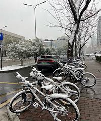 ���������г���ѧ��С���Ѳ��˹�����