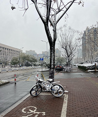 ���������г���ѧ��С���Ѳ��˹�����