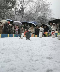 ̨�ݺ���ݵ�����������������