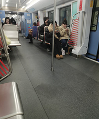 �����ϵ��������