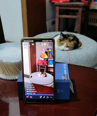 ����֪��Ϊʲô������ô���˶�����������