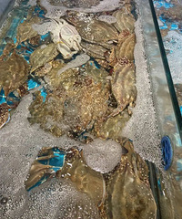 һ��һ���ۣ�̨���˰��Ե������ζ������200Ԫһ��