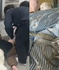 Ů������άȨʧ����¥