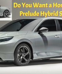 ����˼�����ڸĿ���Ⱦͼ�ع⣬�����Ƴ��춯��