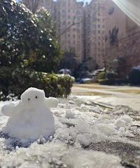 -12�棡��ȷ�ϣ�̨�����ϴ�ת�����и�����Ϣ����