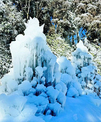 ��̨ɽ���ٲ�����̨�ɹȣ�����������������ʯ�������ָ����ţ�