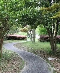 �ٺ�����ѧУ�ϰ�