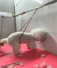 �۸���ǣ���Ҫ�ǣ�̨����������̫�𱬣�����ȴ�ܾ��ᡭ��