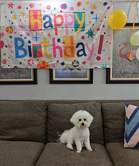 �۸���ǣ���Ҫ�ǣ�̨����������̫�𱬣�����ȴ�ܾ��ᡭ��