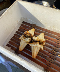 �̵����˵İ���ˣ��۸���û�䣬÷����1.5һ��