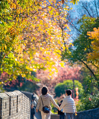 ̨�ݿ�ʼ����ģʽ������쭵�18.9�棡����4�������....